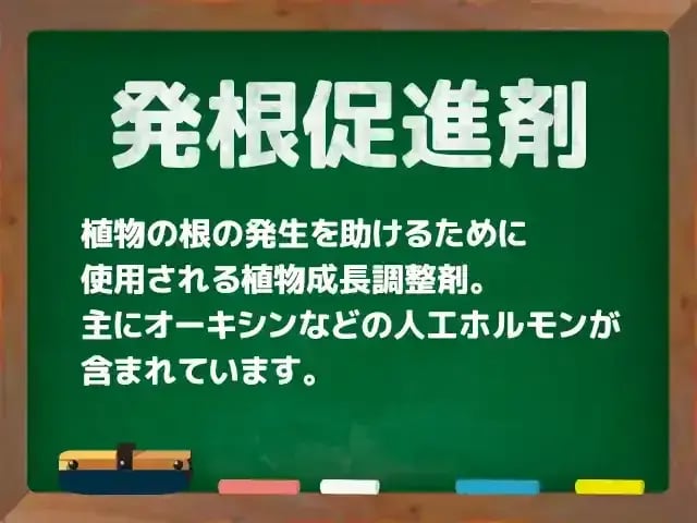 発根促進剤(はっこんそくしんざい)