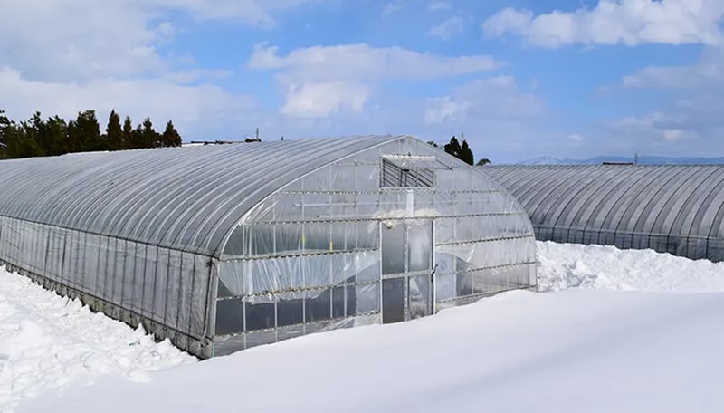 スノーポールでビニールハウスを補強！雪害対策にも単管パイプの活用を