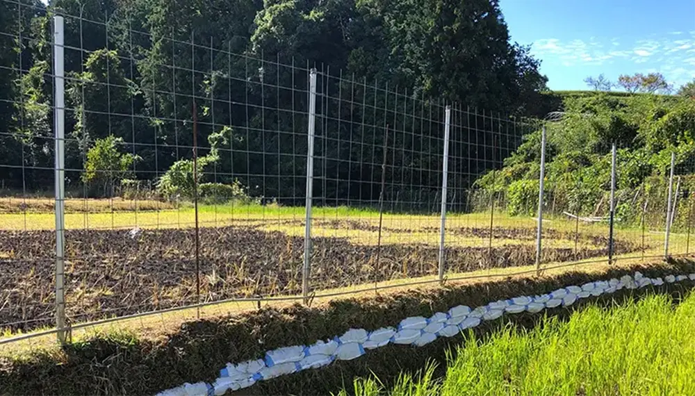 イノシシやシカの害獣対策に有効な“防獣柵”とは？その概要と必要な資材や補助金について解説 | 農業資材の紹介サイト | 農材ドットコム